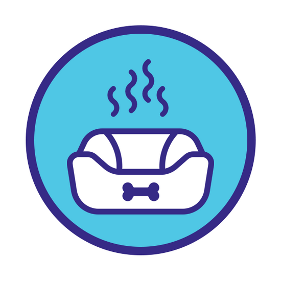 smelly pet bed icon